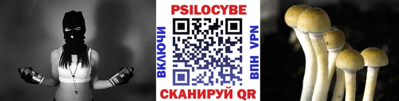 Псилоцибиновые грибы ЛСД  Купить где  Суоярви 